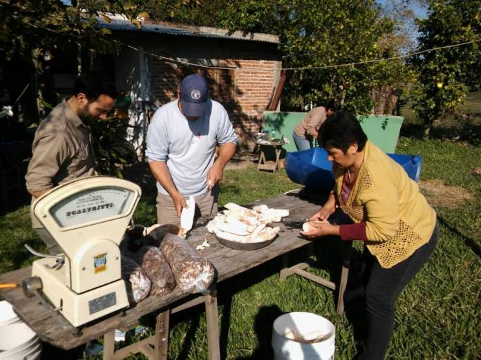 Agroindustria Familiar