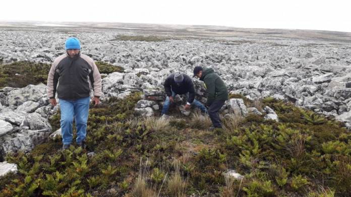 WhatsApp Image 2019-04-14 at 22.03.18