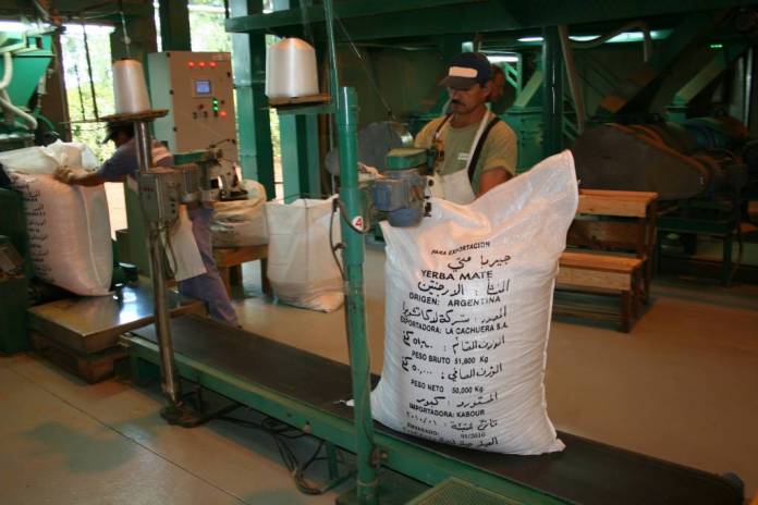 yerba mate exportacion