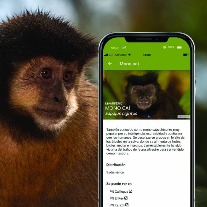 Argentina Natural_04