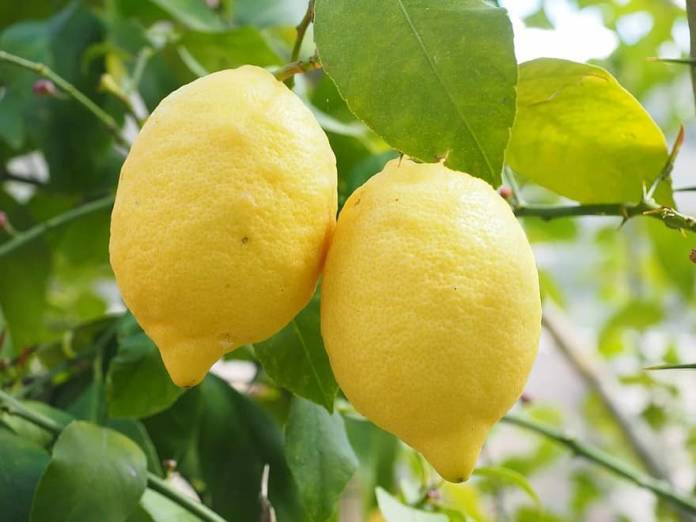 2e889df467d106cc4311203fd2528c60d50d033e