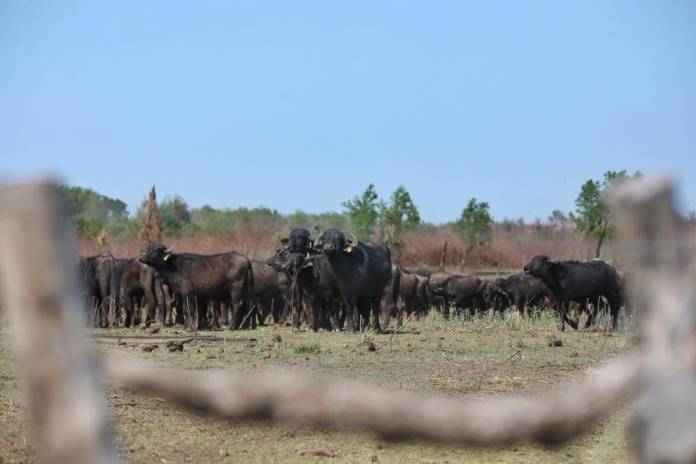 169f8281db1b356600f8812999f1152befbc9935