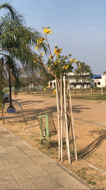 27a55abc8ac8fd5d6553fea0e92672e6d0be031a