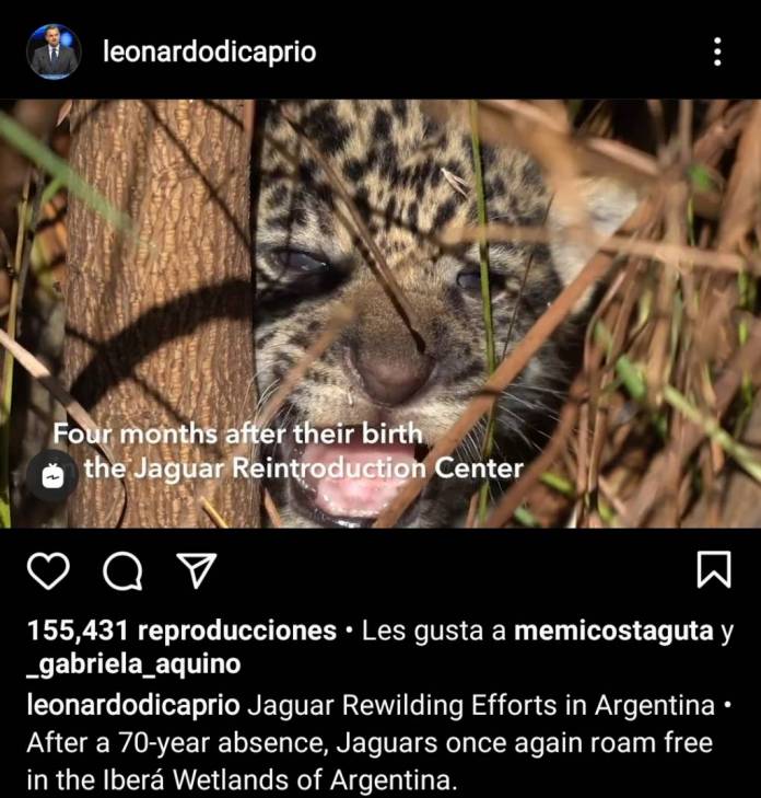 80649b8cf0b1fce83e8f876fca6b662b34403778