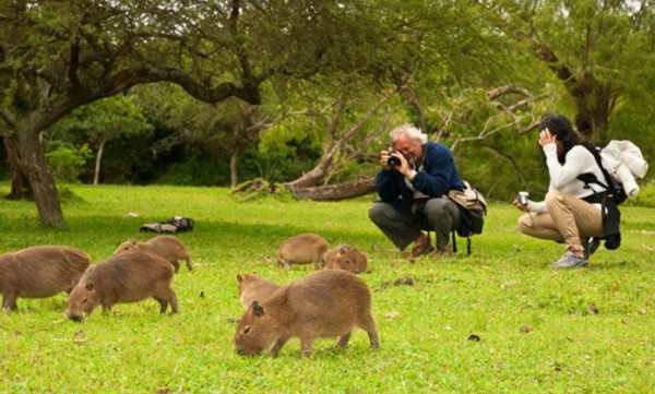 85ef6bddde229d108e9dd99f7a557ce40582ff06