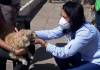 Provincia y Municipio junto a las mascotas continúan con operativos barriales
