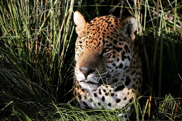 684eb356c01b8cff0f6cbef40c923183ed2cc35c