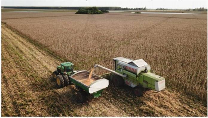 9f63e4d3c197c22baf1084df8c570d34cbbc24b2