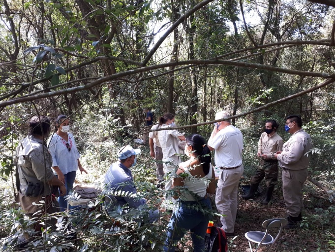 00074335cb9de9f4d04844094f8dcdd3e8f48691