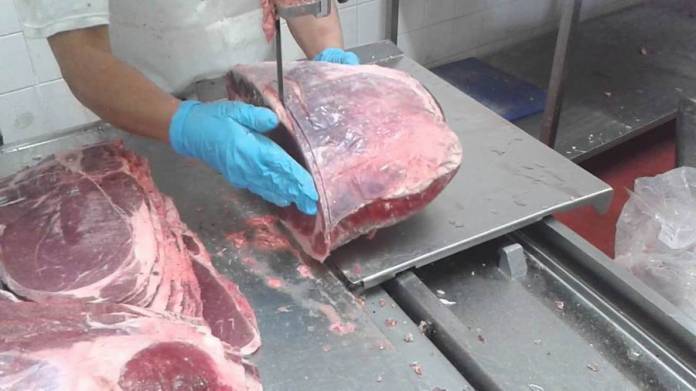 05-foto-50-gentileza-4