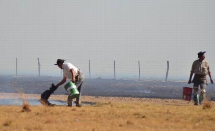 02-foto-20-gentileza