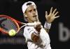 Schwartzman cayó en la final de ATP 500 de Río