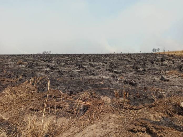 925752.1645113216.jpeg_grande