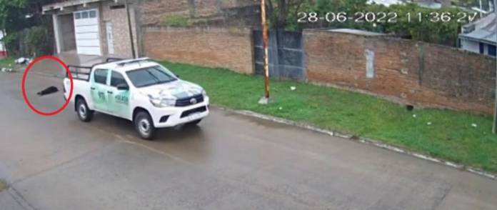 07-foto-70-gentileza-9