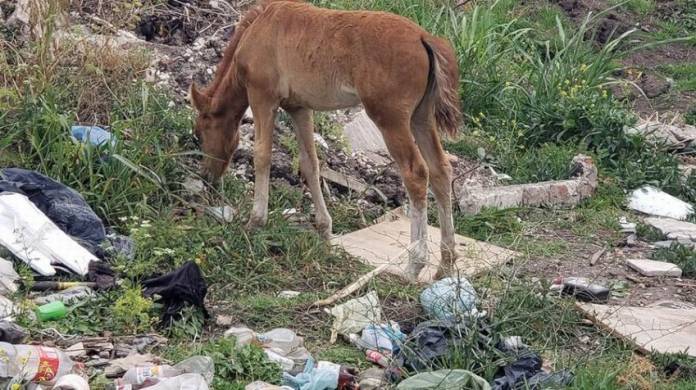 08-foto-80-ilustrativa