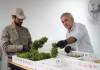 Corrientes realizó su primera cosecha experimental de cannabis medicinal