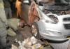 Corrientes: encuentran 17 kilos de marihuana escondidos en un auto